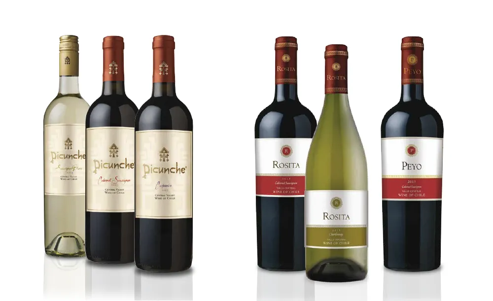 vino1
